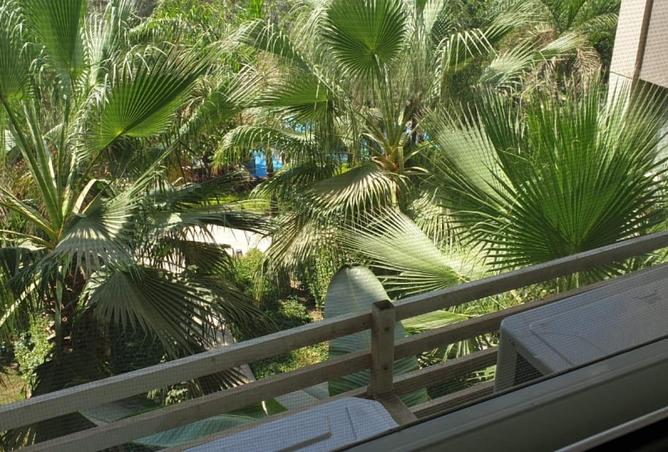 65921071 - صورة العقار 3