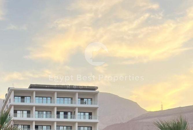 61867501 - Property Main Image