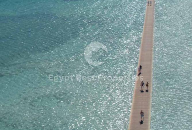 101498179 - صورة العقار 3