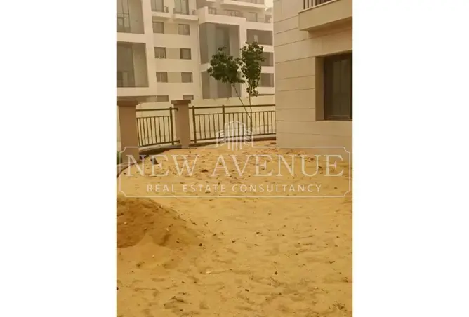 109909602 - Property Image 3