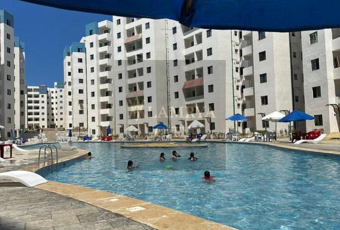 55510037 - Property Image 3