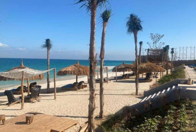 56001761 - الصورة الرئيسية للعقار