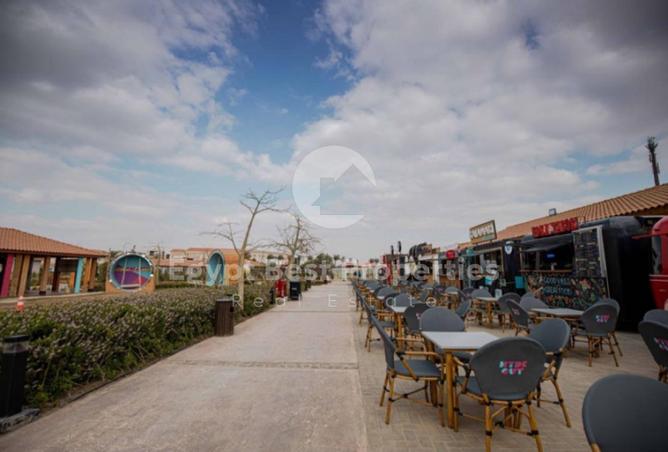 8573498 - Property Image 2