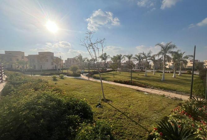 84787803 - صورة العقار 3