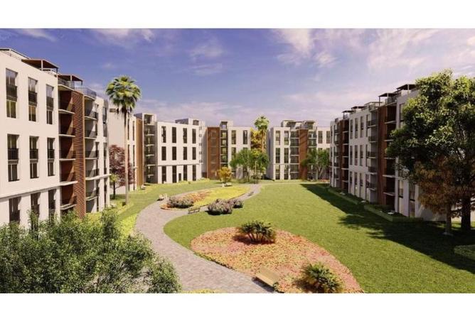 64378606 - Property Image 3