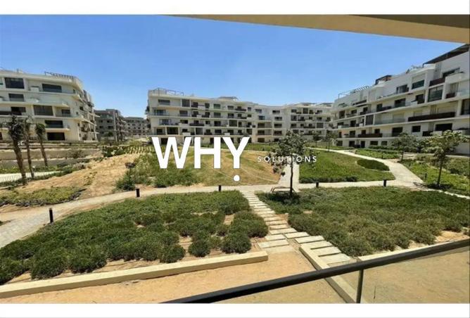 67215635 - Property Image 3