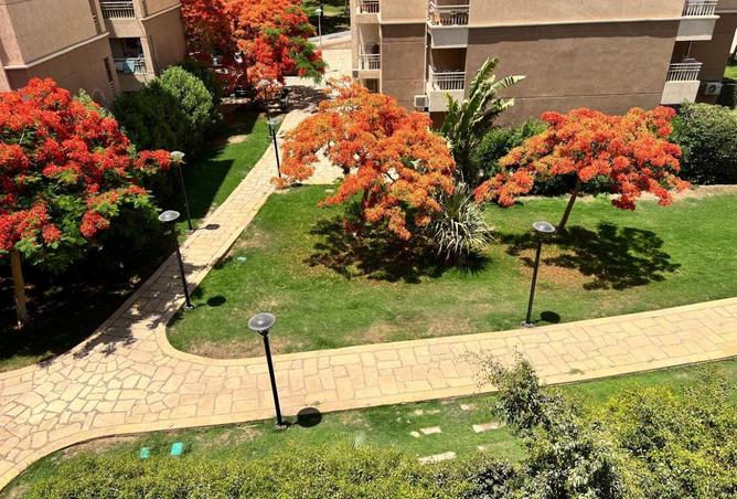 85333978 - صورة العقار 2
