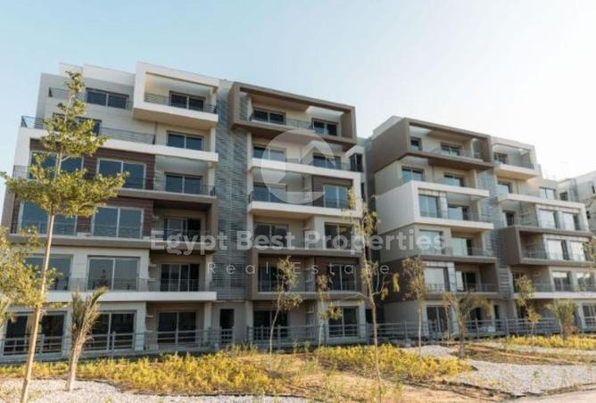 62641641 - Property Image 2