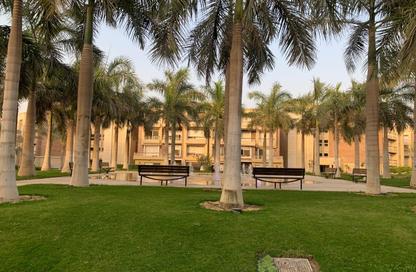 Twin House - 4 Bedrooms - 4 Bathrooms for rent in New Giza - Cairo Alexandria Desert Road - 6 October City - Giza