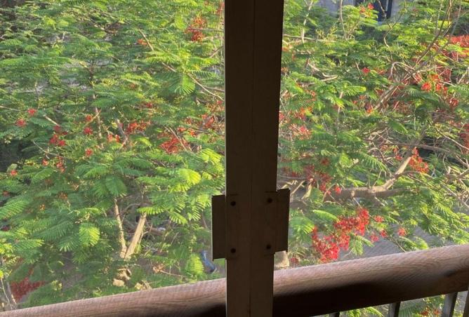 54499390 - Property Image 2