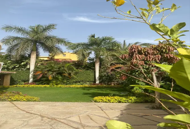 57748567 - صورة العقار 3