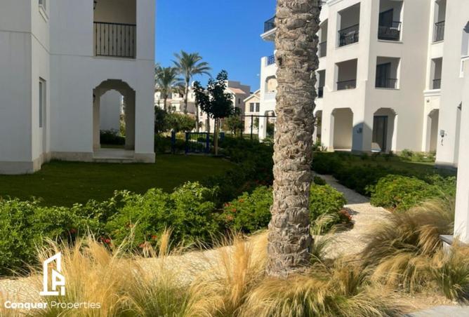 53729379 - صورة العقار 2