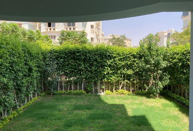76240050 - صورة العقار 3