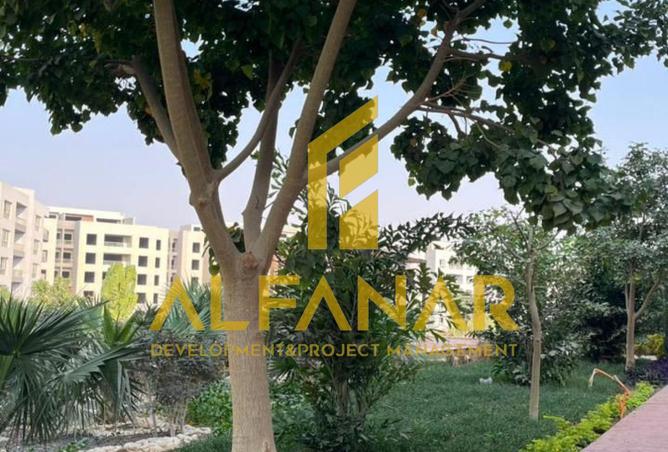 8489247 - صورة العقار 2