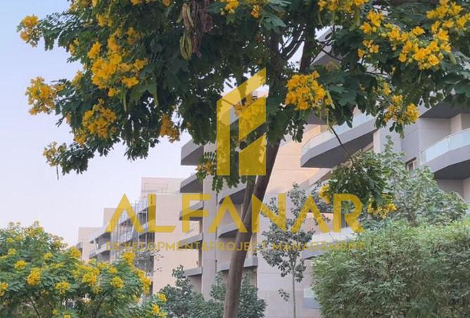 8489247 - صورة العقار 3