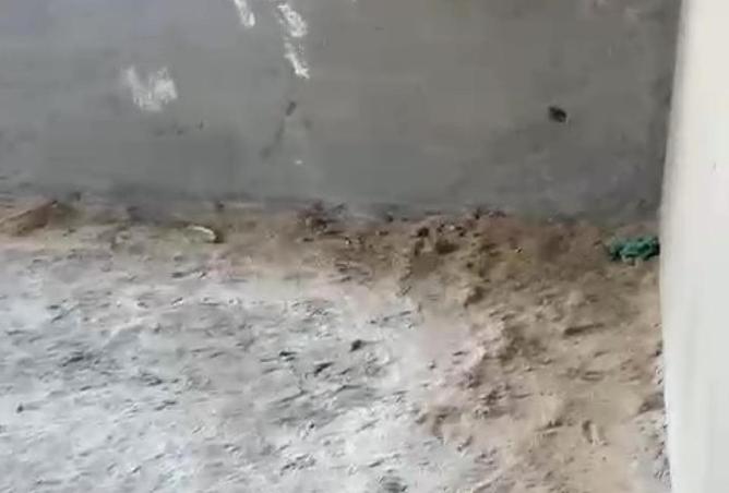 66174128 - Property Image 3