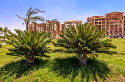 شقة - 2 غرف نوم - 1 حمام للبيع في بالمز - طريق الواحات - مدينة 6 أكتوبر - الجيزة