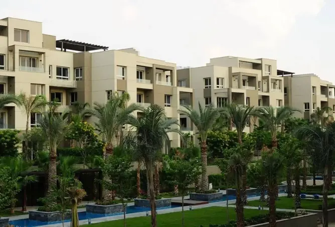 109636676 - Property Image 3