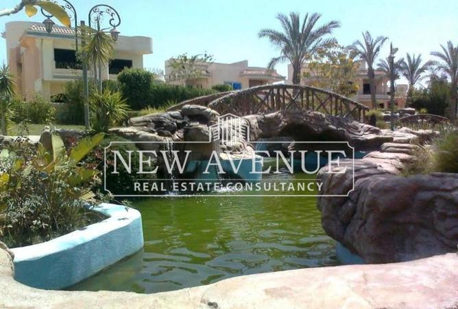 64635183 - Property Image 3