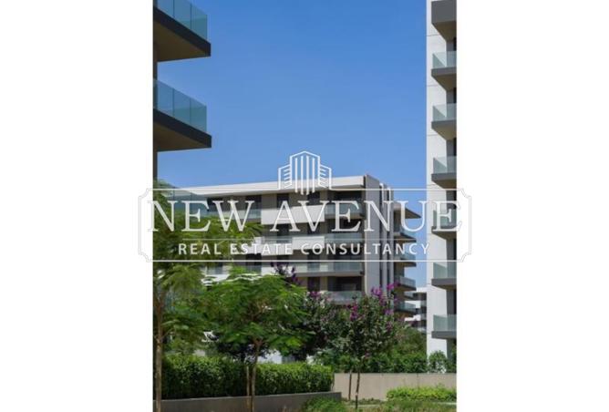 62650054 - صورة العقار 3