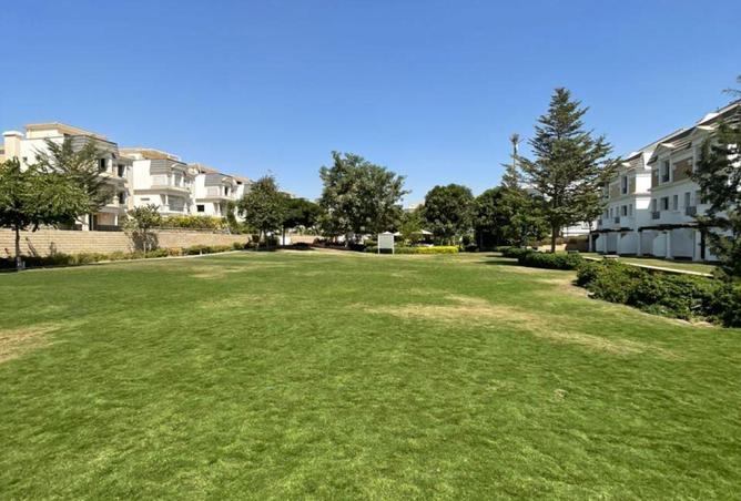 54488876 - صورة العقار 3