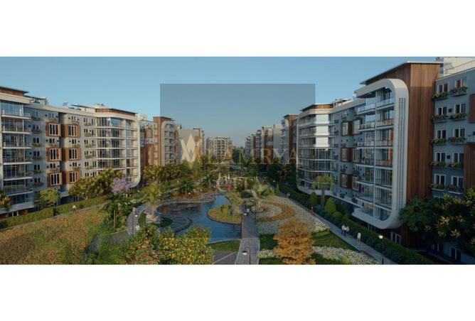 55503272 - Property Image 3