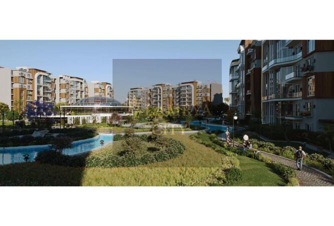 55503272 - Property Image 2