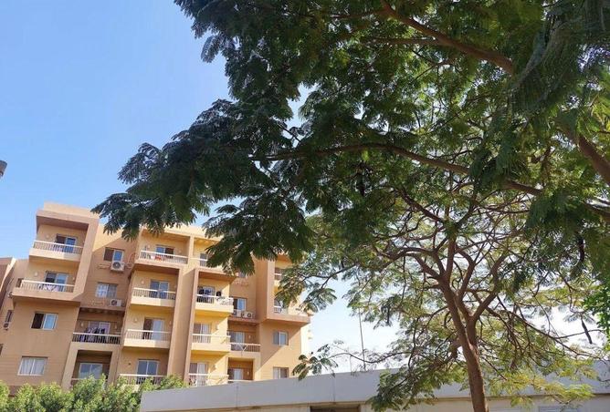 54232921 - الصورة الرئيسية للعقار