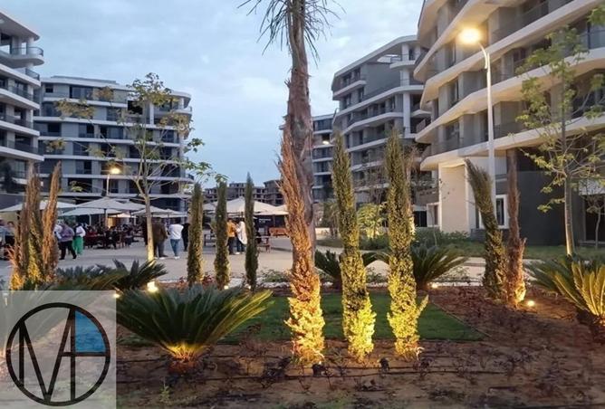 8632831 - Property Image 3