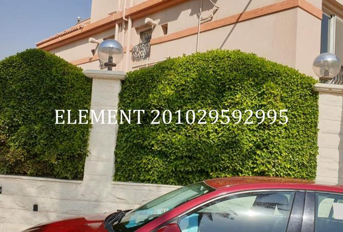 8428525 - الصورة الرئيسية للعقار