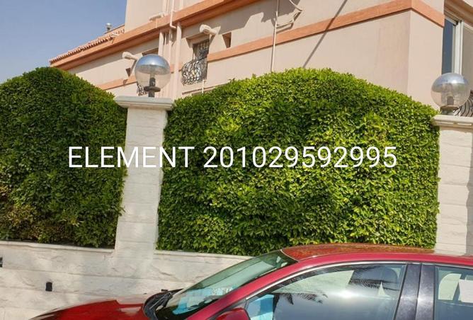 8428525 - الصورة الرئيسية للعقار