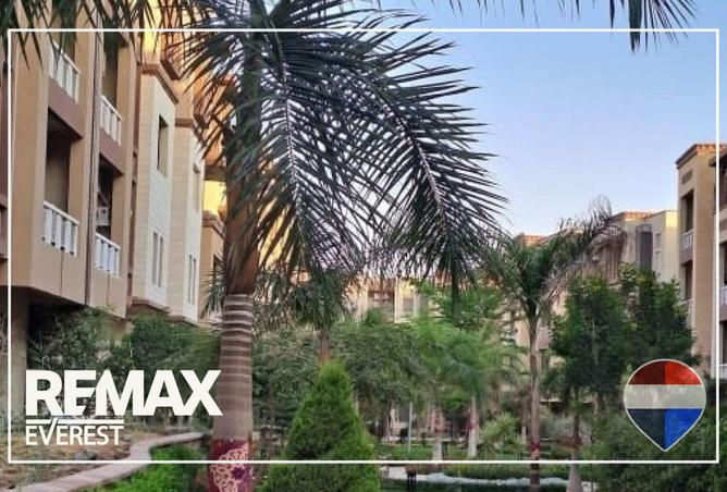 70369584 - Property Image 3