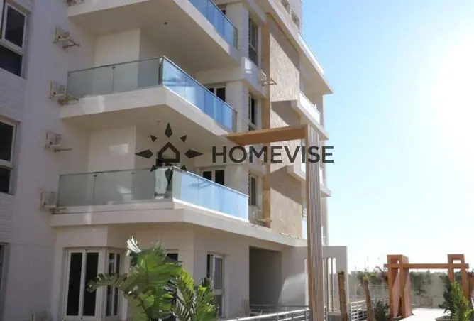 115446155 - Property Image 3