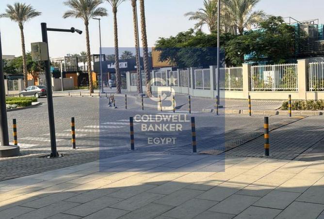 54756807 - Property Image 3