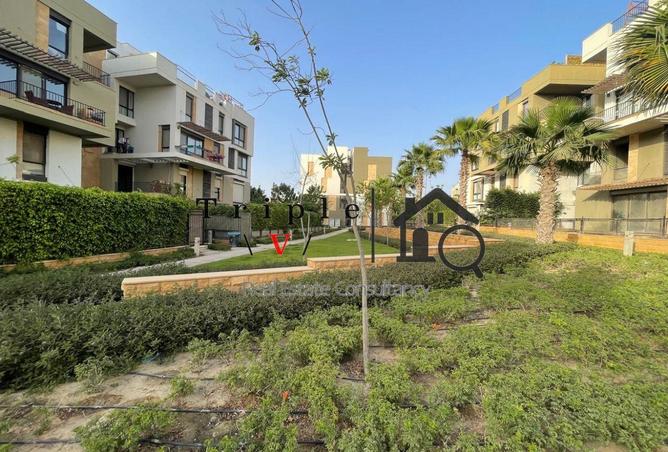 62166401 - Property Image 2