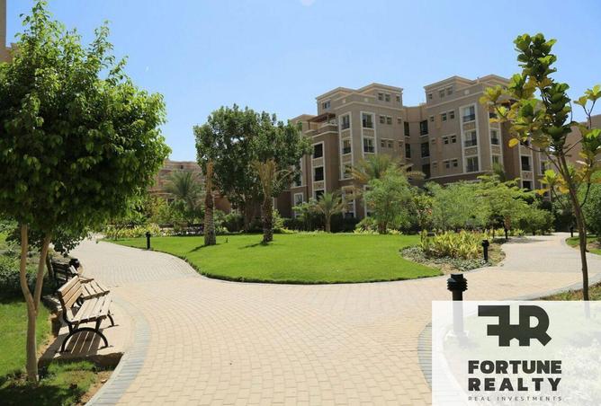 58736309 - Property Image 3