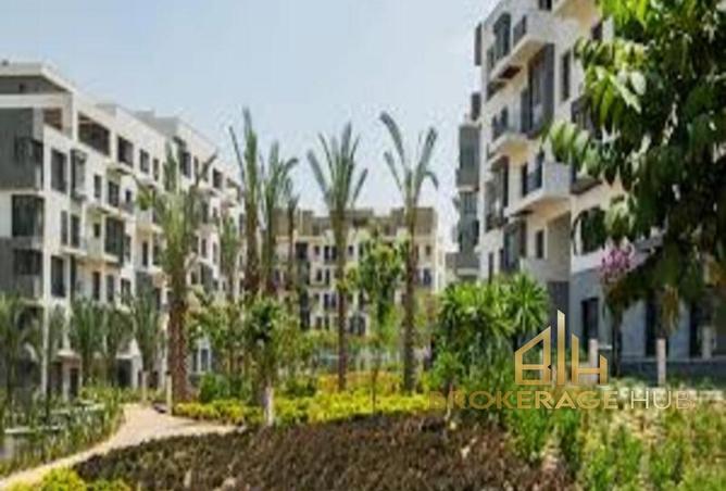 66951959 - Property Main Image