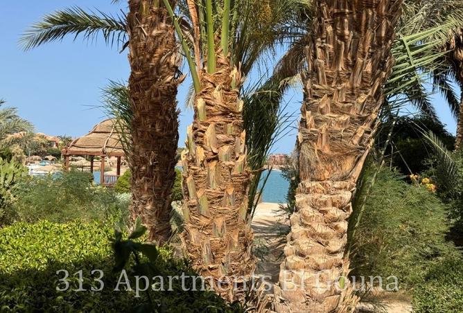 74855651 - صورة العقار 3
