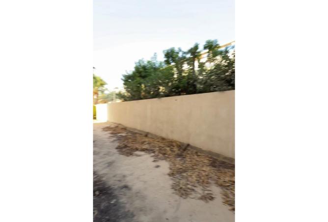 104872440 - Property Image 2