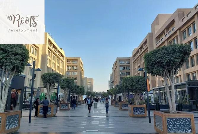 63385902 - Property Image 3