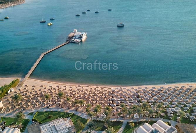 70358286 - صورة العقار 3