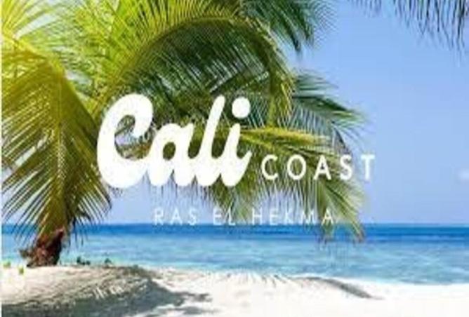 67737003 - صورة العقار 3