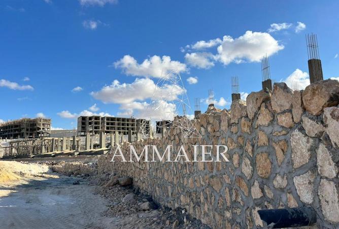 101490013 - Property Image 3