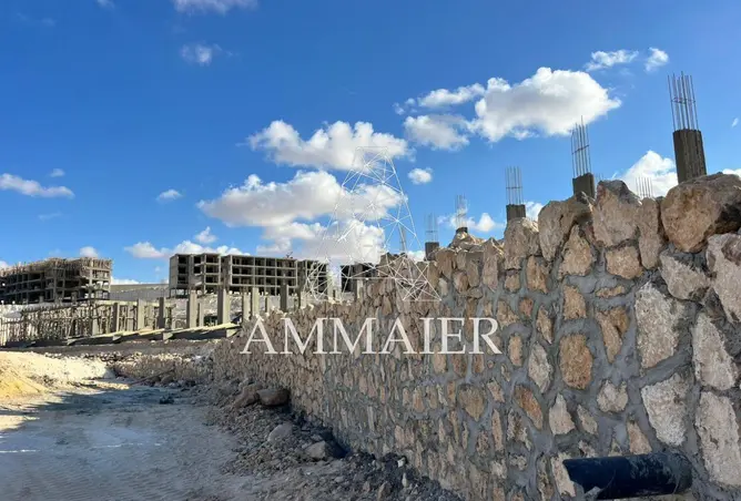 101490013 - Property Image 3