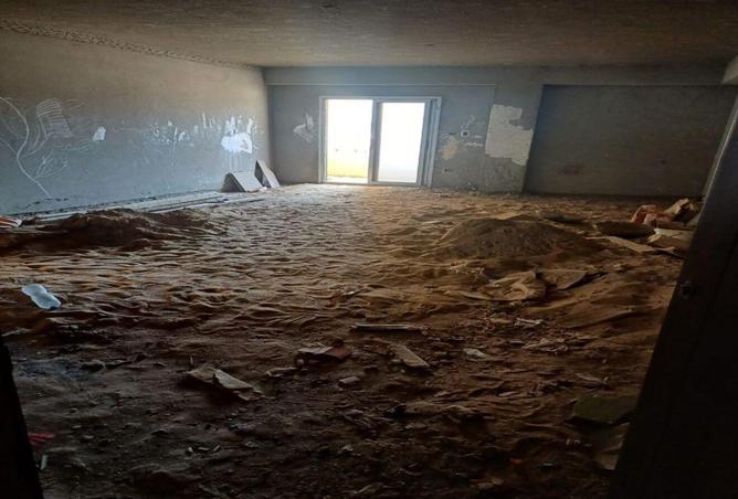 8717486 - صورة العقار 2