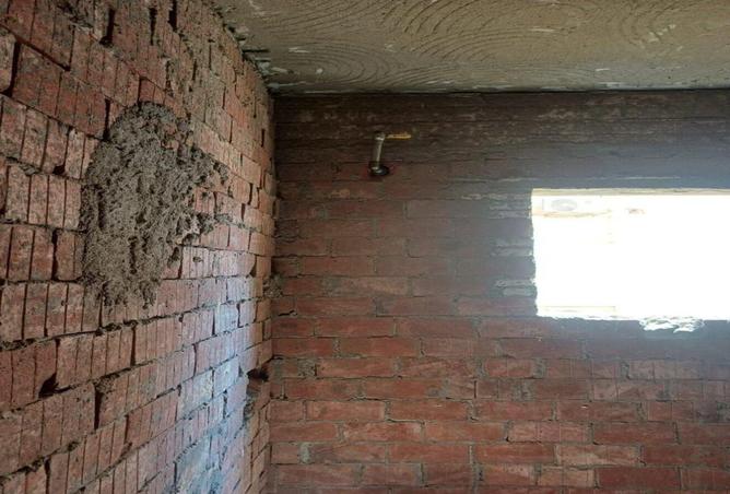 8717486 - صورة العقار 3