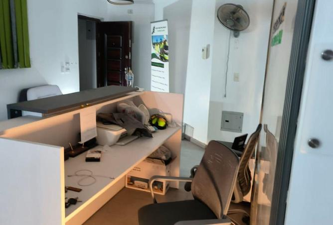 55509914 - Property Image 2