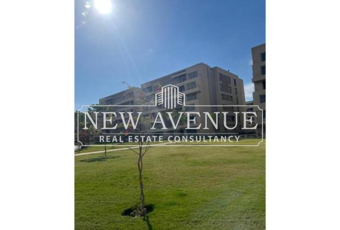 64136351 - Property Image 3