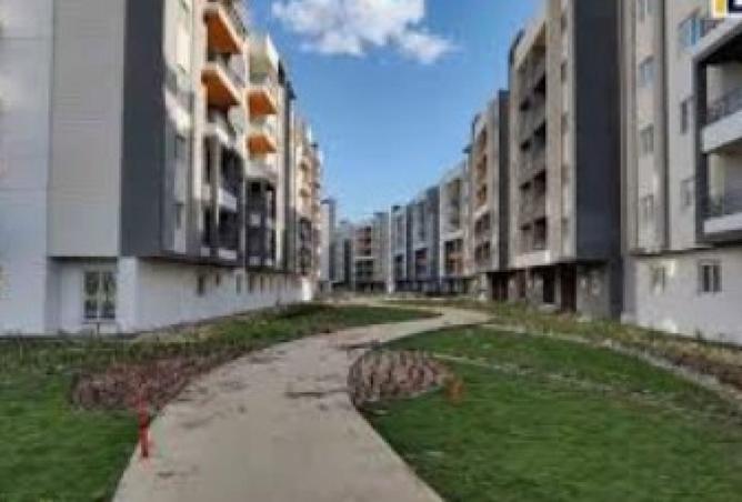 8626546 - صورة العقار 3