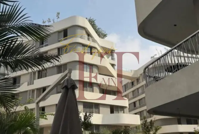 121142463 - Property Image 2